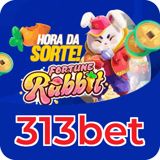 Segurança 313bet